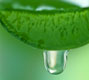 nos produits drainants