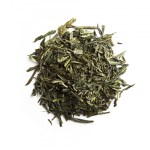 the-vert-sencha