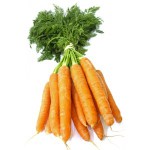 carottes